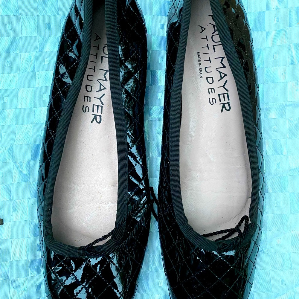 Paul Mayer Ballet Shoes size 11